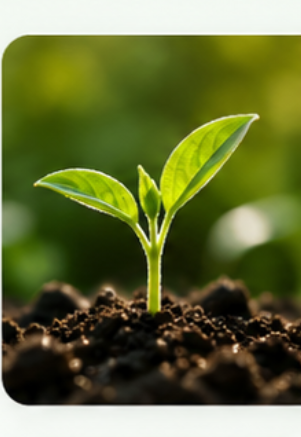 Plant Biostimulants